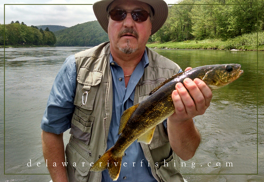Latest Fly Fishing News and Reports - Crandall's Provider - Royal Treatment  Fly Fishing