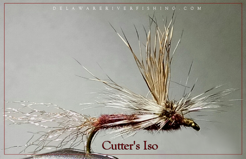 Wet Flies Large Sizes 6-8 Pack of 16 #20